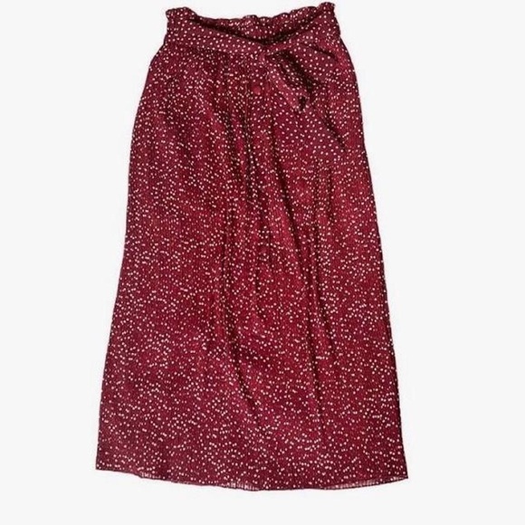Zara Polka Dot Burgundy Skirt - Picture 6 of 7